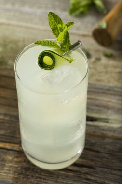 Salatalık cin Spritz kokteyl serinletici