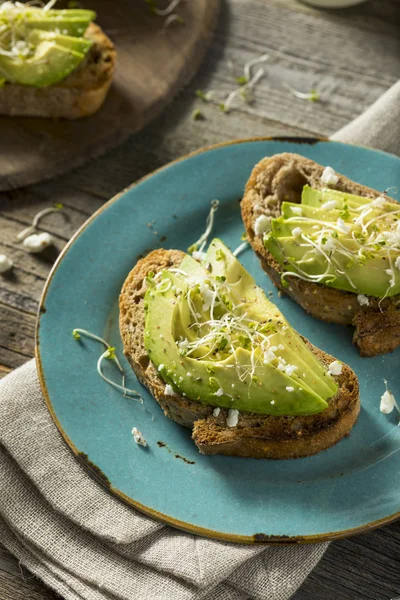 Gesundes hausgemachtes Avocado Toast — Stockfoto