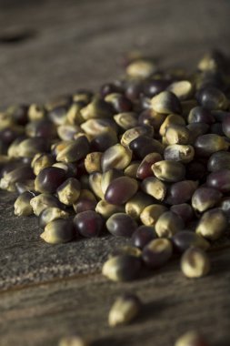 Ham organik mavi patlamış mısır