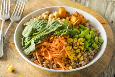 Ham organik sağlıklı Buda kase