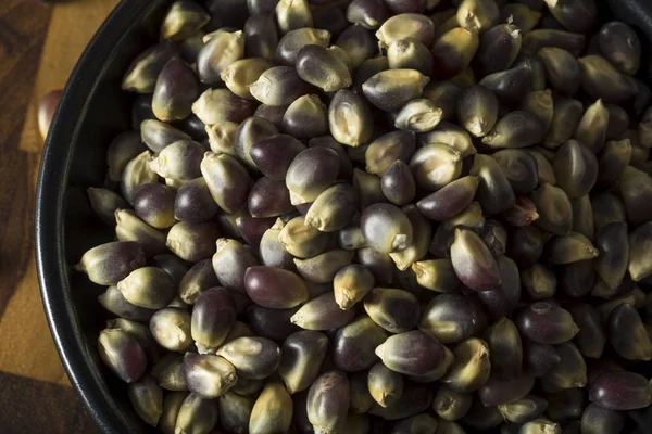 Rauwe biologische blauwe Popcorn — Stockfoto