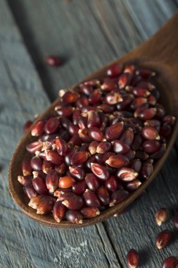 Ham organik yakut kırmızı Pop Corn