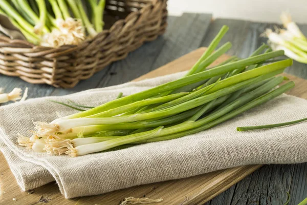 Rauwe biologische groene uien — Stockfoto