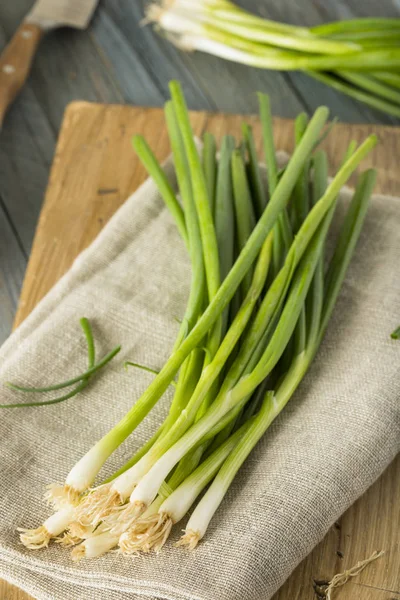 Raw Organic Green Onions — Stock Photo, Image