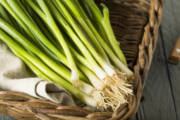 Rauwe biologische groene uien — Stockfoto