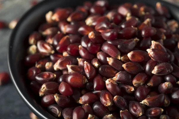 Syrové organické rubínově červené popcorn — Stock fotografie