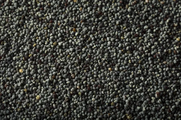 Сире органічне чорне макове насіння — стокове фото
