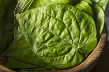 Ham organik yeşil Pan yaprakları