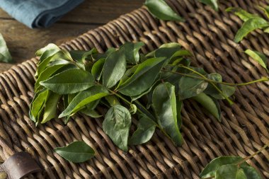 Ham yeşil organik köri yaprakları