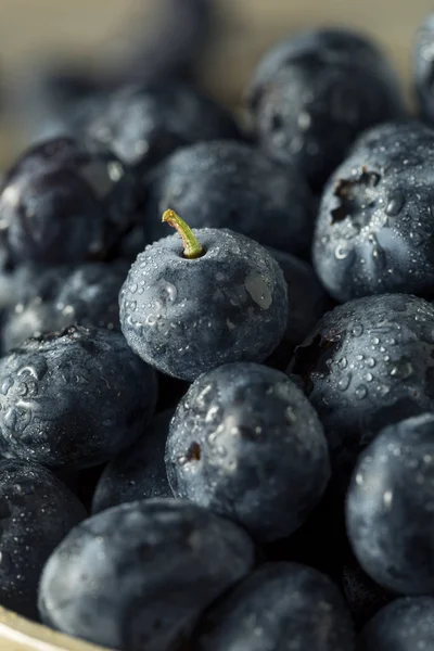 Raw Organic Healthy Blueberries — Stock Photo, Image