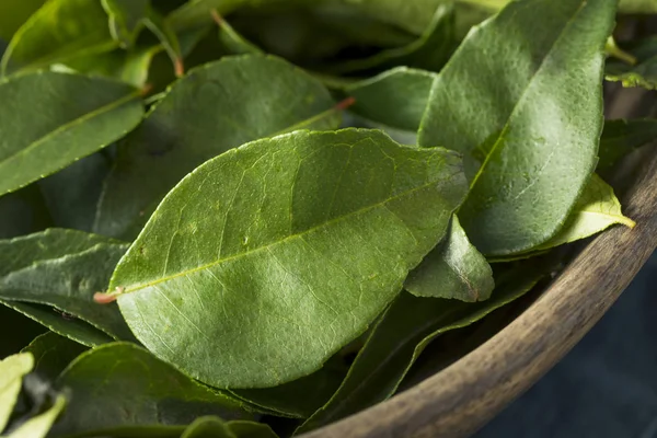 Nyers zöld szerves Curry levelek — Stock Fotó