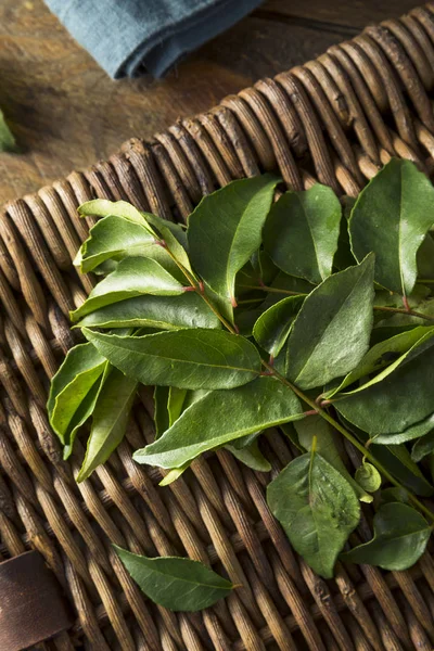 Rå grön ekologisk curryblad — Stockfoto