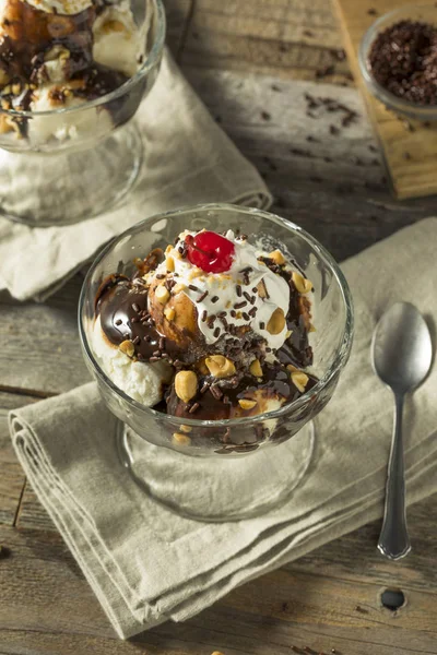 Dolce gelato fatto in casa Sundae — Foto Stock