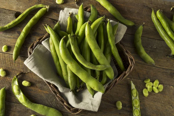 RAW ekologiczne świeże, zielona fasola Fava — Zdjęcie stockowe