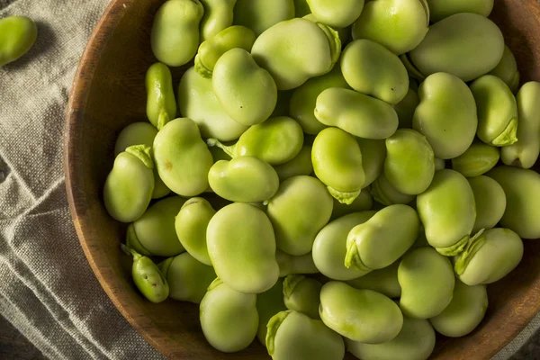 Rauwe biologische verse groene Fava Beans — Stockfoto