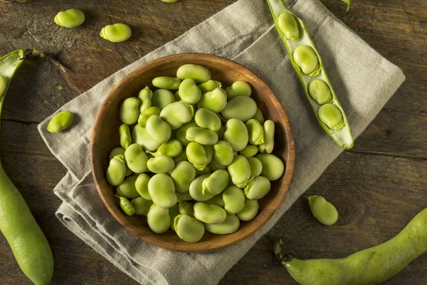 Rauwe biologische verse groene Fava Beans — Stockfoto