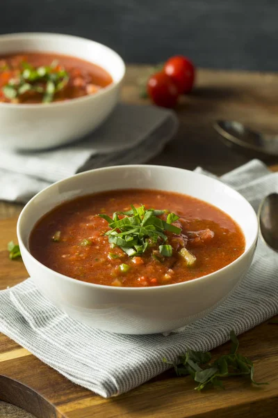 Studený osvěžující polévka Gaspacho — Stock fotografie