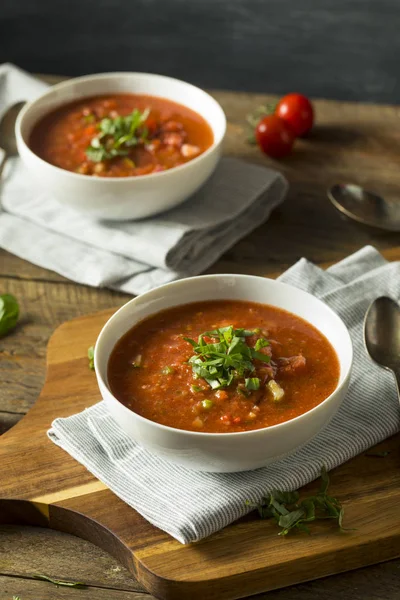 Cold Refreshing Gazpacho Soup — Stock Photo, Image