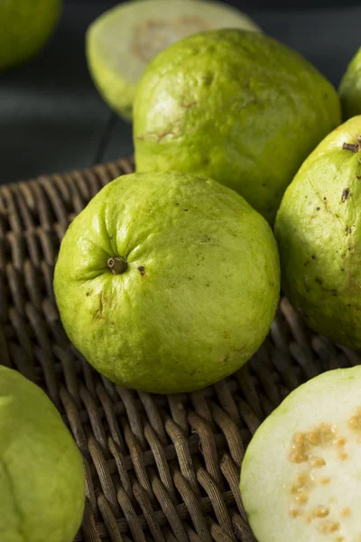 Verde orgânico cru Grande goiaba — Fotografia de Stock