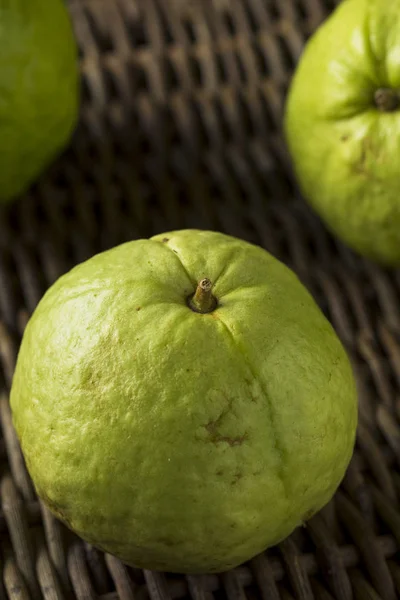 Grezzo verde biologico grande Guava — Foto Stock