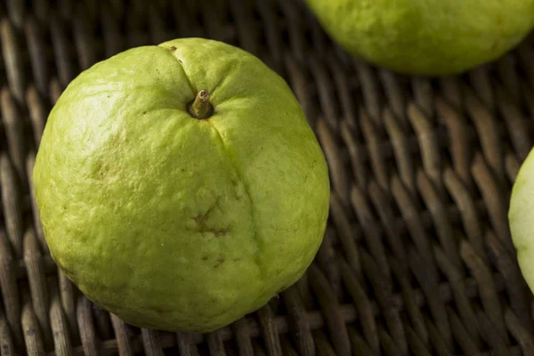 Ham organik yeşil büyük Guava — Stok fotoğraf