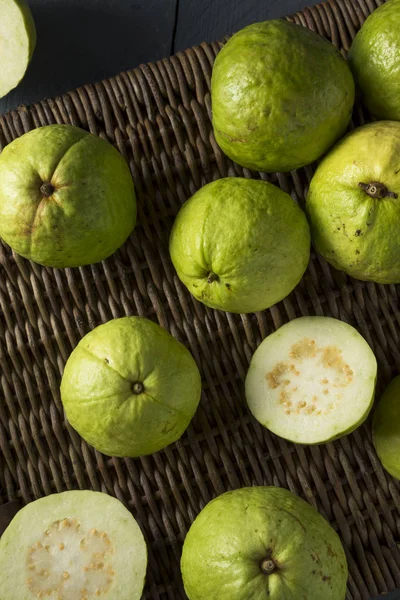 Grezzo verde biologico grande Guava — Foto Stock