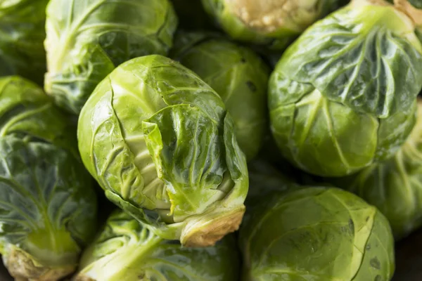 Ham organik yeşil Brussel lahanası — Stok fotoğraf