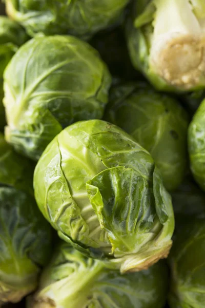 Raw Organic Green Brussel Sprouts — Stock Photo, Image