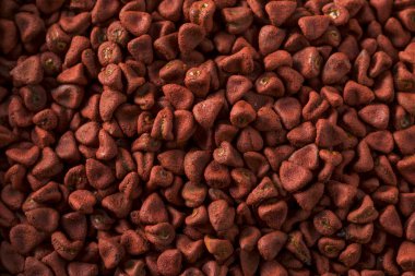 Çiğ kırmızı organik Annatto tohumları