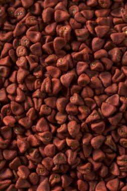 Çiğ kırmızı organik Annatto tohumları