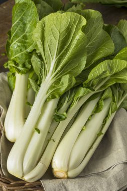 Ham yeşil organik Bok Choy