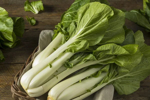 Raw Green Organic Bok Choy — Stock Photo, Image