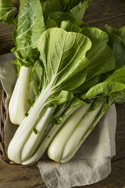 Raw Green Organic Bok Choy — Stock Photo, Image