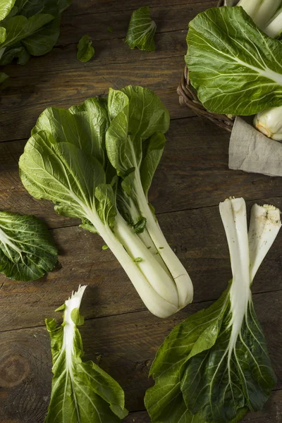 Raw Green Organic Bok Choy — Stock Photo, Image