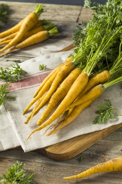 Bunch orgânico de cenouras amarelas — Fotografia de Stock