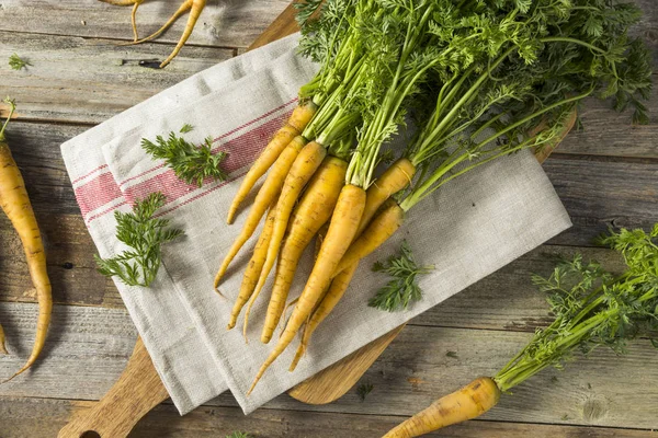 Bunch orgânico de cenouras amarelas — Fotografia de Stock