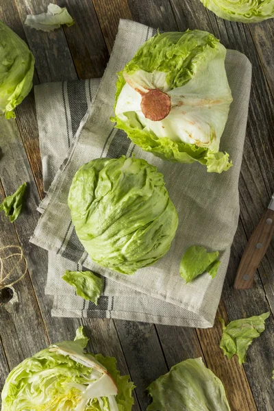 Lechuga cruda de iceberg redonda orgánica —  Fotos de Stock