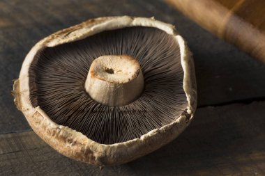 Healthy Organic Raw Portobello Mushroom Caps clipart