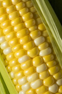 Üzerinde ham organik sarı mısır