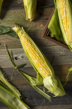 Üzerinde ham organik sarı mısır
