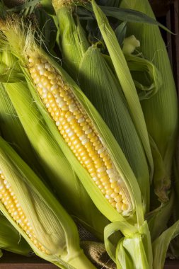 Üzerinde ham organik sarı mısır