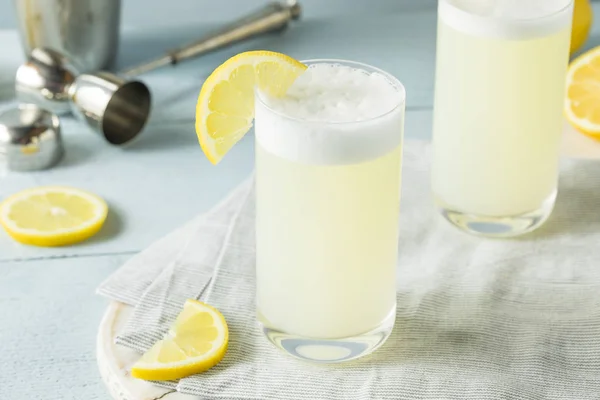 Refreshing Cold Egg Gin Fizz — Stock Photo, Image