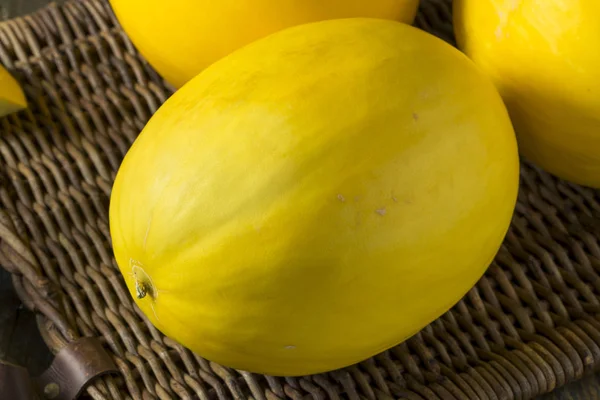 Raw bio žlutý Honedew meloun — Stock fotografie