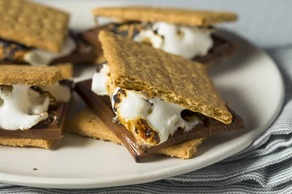 Zoete huisgemaakte Smores chocoladedessert — Stockfoto