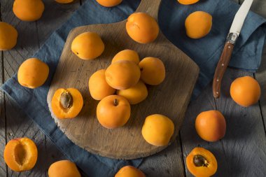 Ham portakal organik kayısı