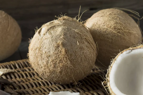 Rauwe biologische witte kokosnoten — Stockfoto