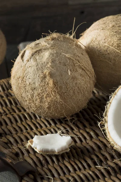 Raw Organic White Coconuts — Stock Photo, Image