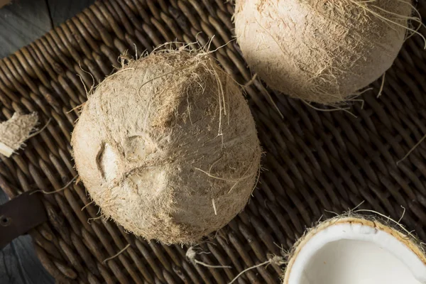 Rauwe biologische witte kokosnoten — Stockfoto