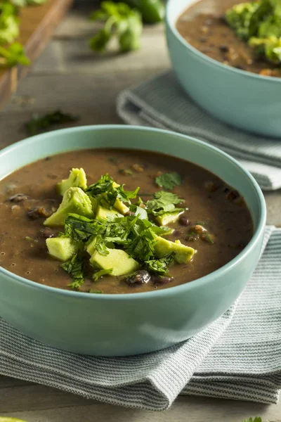 Čerstvé domácí černá fazolová polévka — Stock fotografie
