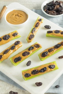 Ev yapımı karıncalar üzerinde bir günlük Snack